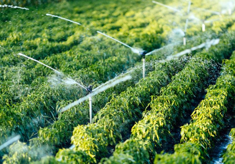 The purpose of the water pump